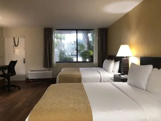 Comfort Room 1 King & 1 Queen Bed, Non Smoking