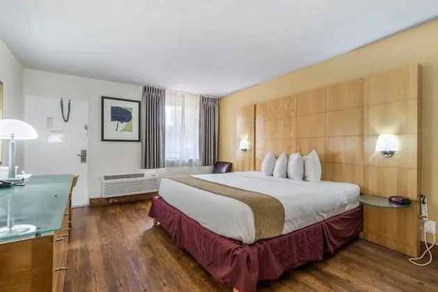 Comfort Tek Kişilik Oda, 1 En Büyük (King) Boy Yatak, Sigara İçilmez