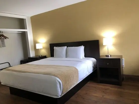 Comfort Tek Kişilik Oda, 1 En Büyük (King) Boy Yatak, Sigara İçilmez