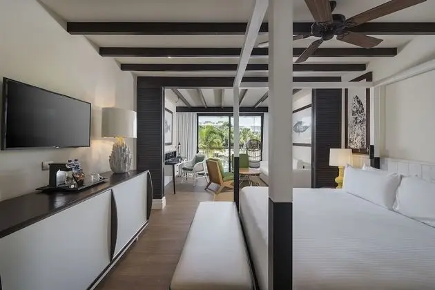 Junior Süit, Havuz Kullanımı (Eden Junior Suite Swim Up)