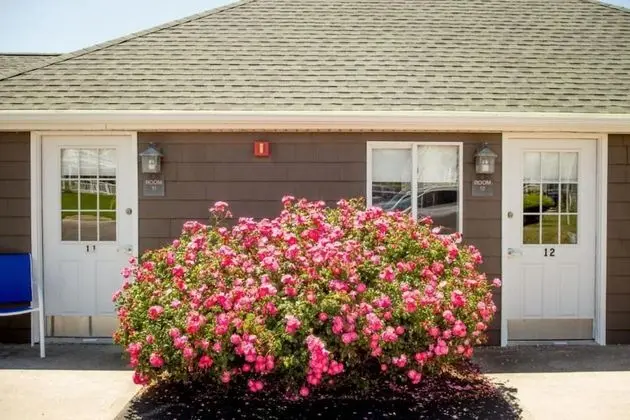 Standard Oda, Engellilere Uygun, Avlu