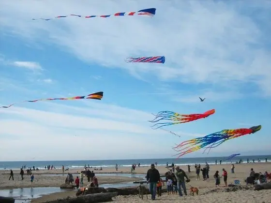 Ev, Birden Çok Yatak (Ocean Rose)