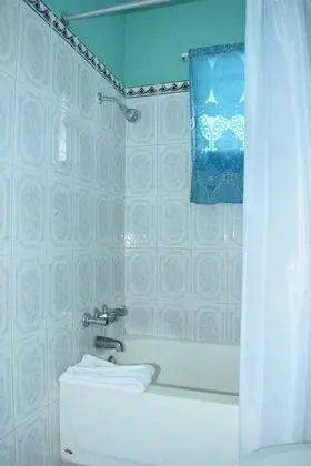 Tek Büyük Yataklı Oda, Banyolu/Duşlu, Bahçe Manzaralı