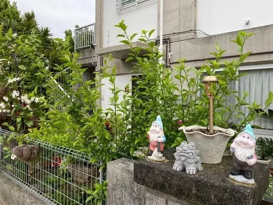 Family Villa