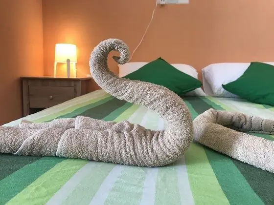 Standard Tek Büyük veya İki Ayrı Yataklı Oda, Bahçe Manzaralı
