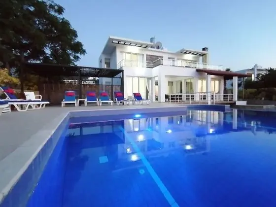 Villa, 5 Yatak Odası, Şömine