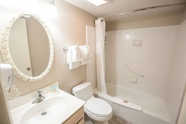 Deluxe Çatı Katı (Loft), 1 Yatak Odası