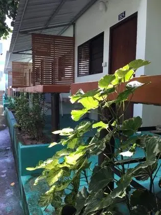 Standard Tek Büyük Yataklı Oda, 1 Çift Kişilik Yatak
