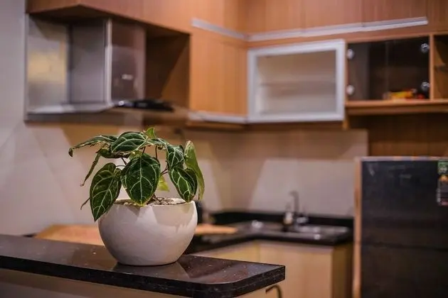 Villa, 2 Yatak Odası, Havuz Manzaralı