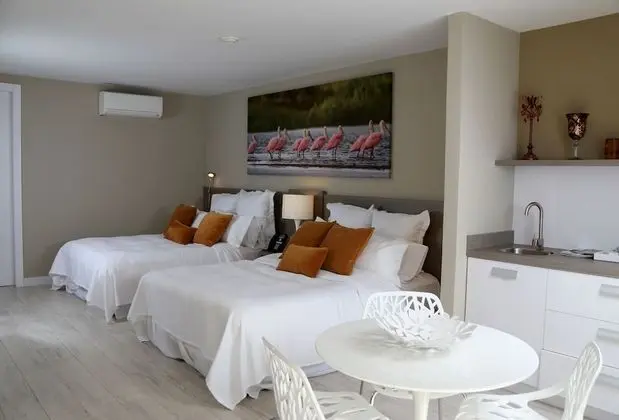 Double Pool View Suite (Two Queen Beds)