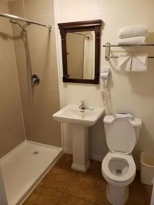 Standard Oda, 1 En Büyük (King) Boy Yatak, Sigara İçilmez, Şehir Manzaralı