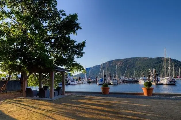 Süit, 1 Yatak Odası, Veranda, Okyanus Manzaralı (Pet Friendly)
