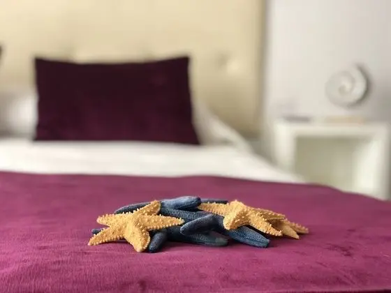 Basic Tek Kişilik Oda