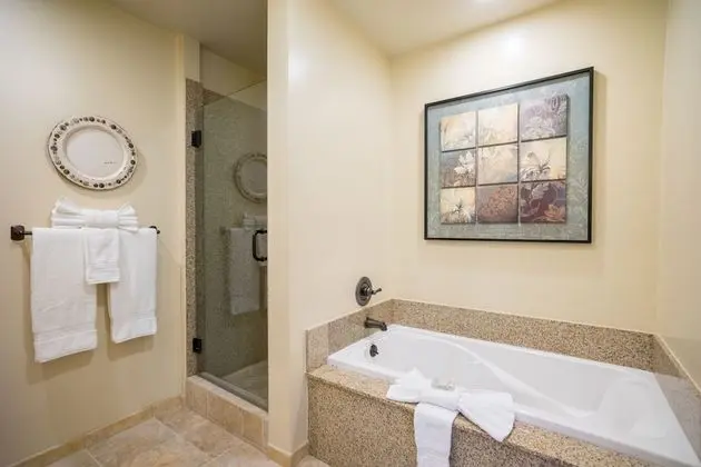 Deluxe Süit, 1 En Büyük (King) Boy Yatak