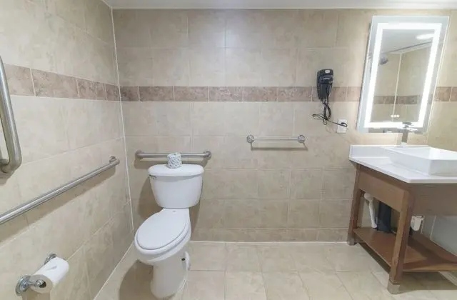 Basic Tek Kişilik Oda, 1 En Büyük (King) Boy Yatak, Engellilere Uygun