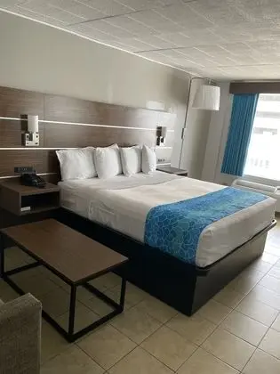 Deluxe Stüdyo, 1 En Büyük (King) Boy Yatak