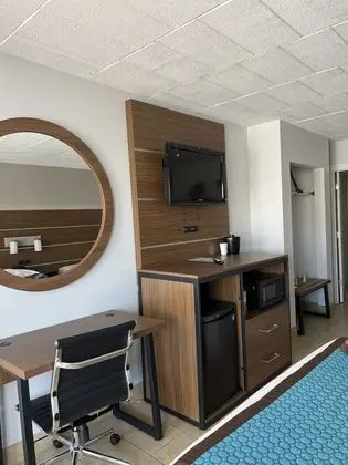 Deluxe Stüdyo, 1 En Büyük (King) Boy Yatak