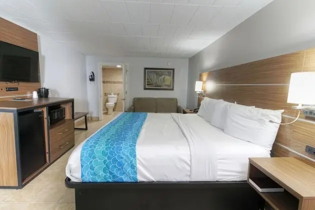 Deluxe Stüdyo, 1 En Büyük (King) Boy Yatak