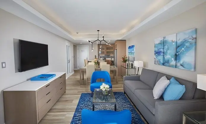 Premium Süit, 1 En Büyük (King) Boy Yatak ve Çekyat