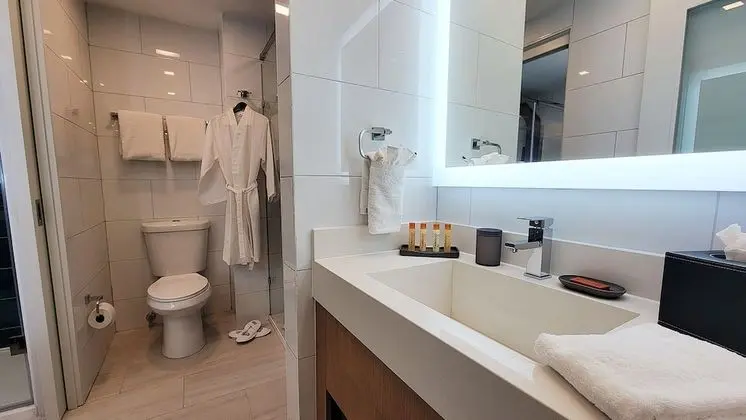 Premium Süit, 1 En Büyük (King) Boy Yatak ve Çekyat