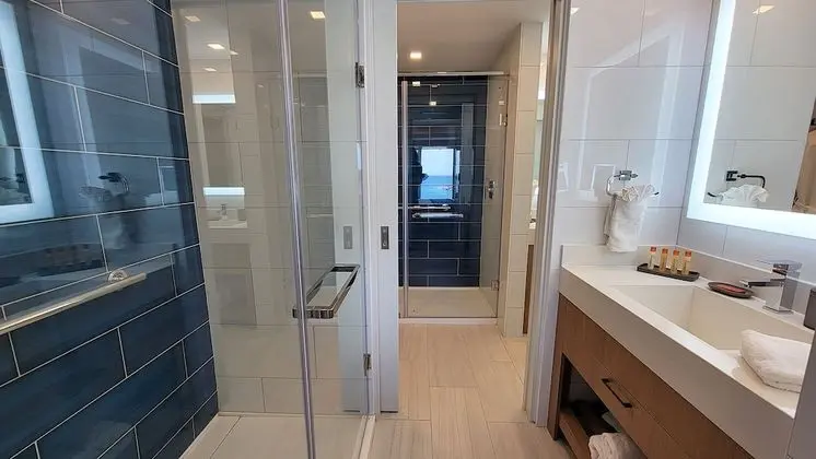 Premium Süit, 1 En Büyük (King) Boy Yatak ve Çekyat