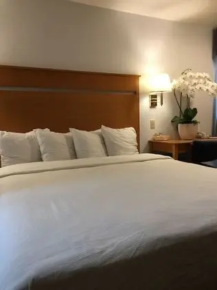Deluxe Oda, 1 En Büyük (King) Boy Yatak, Sıcak Su Küveti (Includes one free parking)