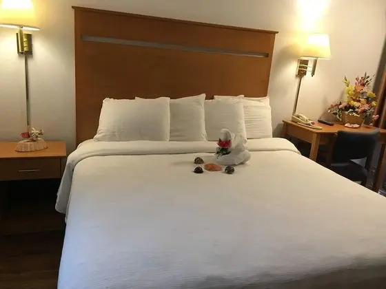 Deluxe Oda, 1 En Büyük (King) Boy Yatak, Sigara İçilmez (Includes one free parking)