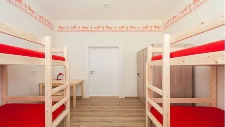 Ortak Ranzalı Oda, Sadece erkekler için (9 guests)