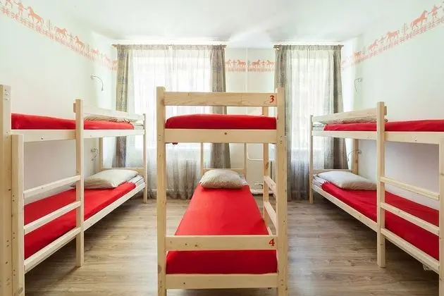 Ortak Ranzalı Oda, Sadece erkekler için (9 guests)