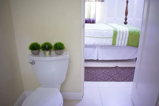 Luxury Villa, 3 Yatak Odası, 2 Banyolu
