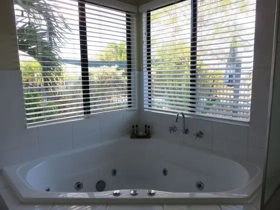 Standard Süit, 1 Yatak Odası, Sigara İçilmez, Mutfak (King/ Twin Spa Suite)