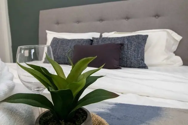 Comfort Apart Daire, 2 Yatak Odası (3)