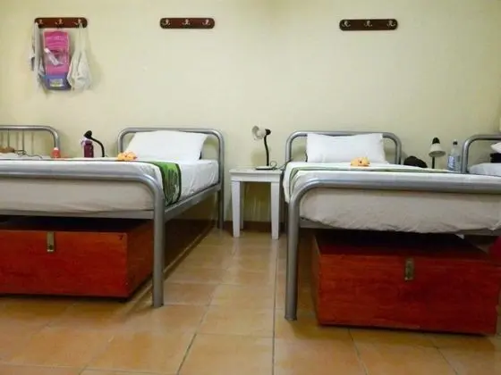 Ortak Ranzalı Oda (Bed in 14-Beds Mixed Dorm)