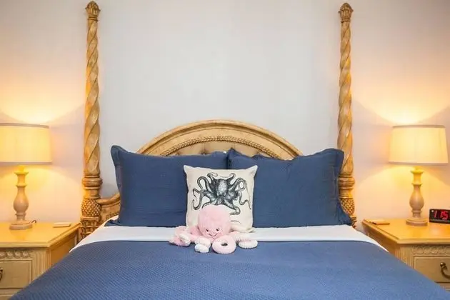 Daire (The Octopus Sanctuary)