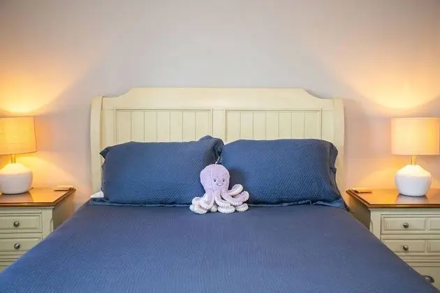 Daire (The Octopus Sanctuary)