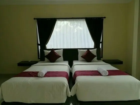 Deluxe Tek Büyük veya İki Ayrı Yataklı Oda