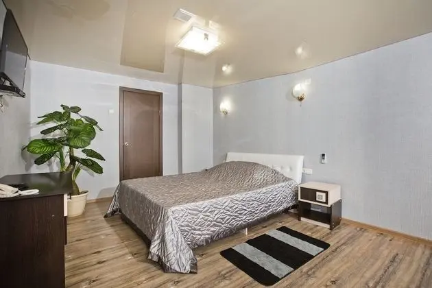 Deluxe Tek Büyük Yataklı Oda