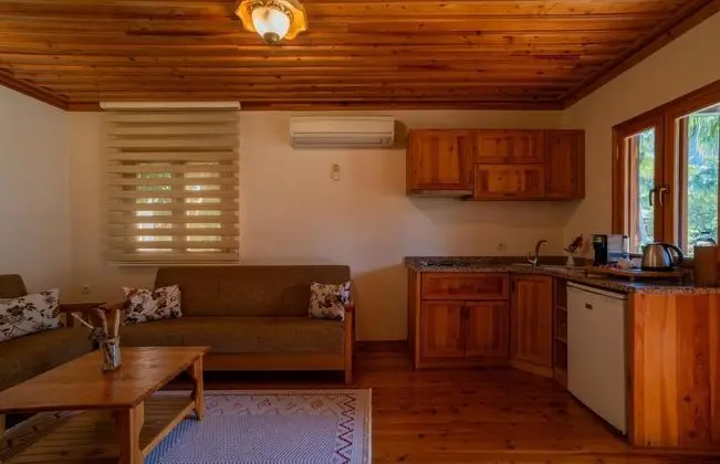 Villa,Bahçe Manzaralı