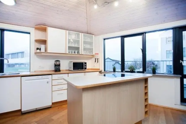 Luxury Çatı Katı Süiti (Penthouse), Şehir Manzaralı