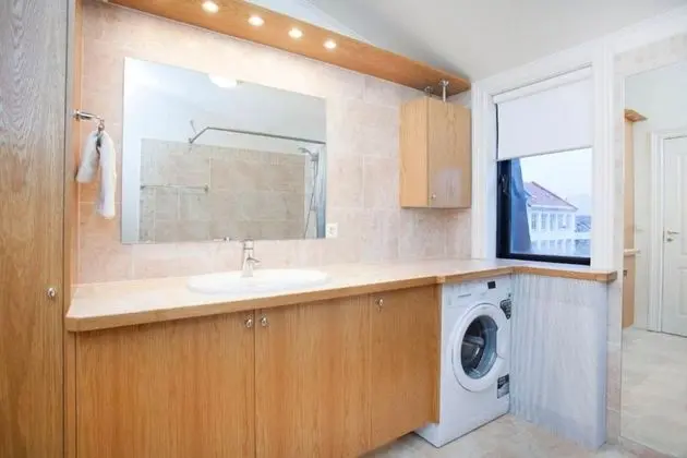 Luxury Çatı Katı Süiti (Penthouse), Şehir Manzaralı