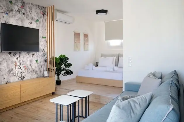 Exclusive Stüdyo Süit, 1 Yatak Odası, Teras, Şehir Manzaralı (Nausika)