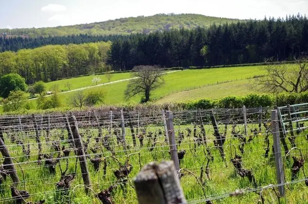 Chambre Tonneaux Chardonnay