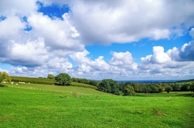 Chambre Tonneaux Chardonnay
