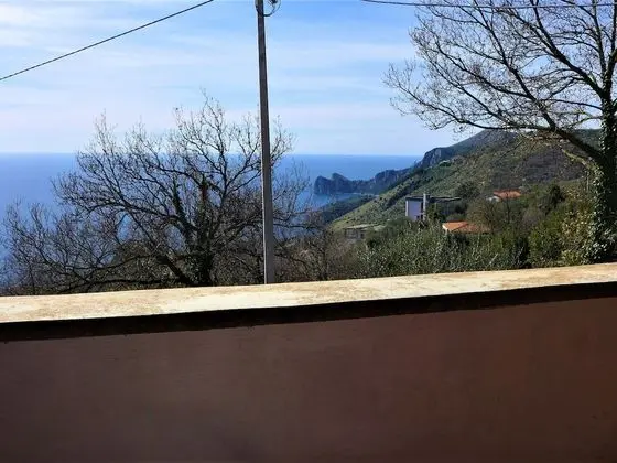Ev