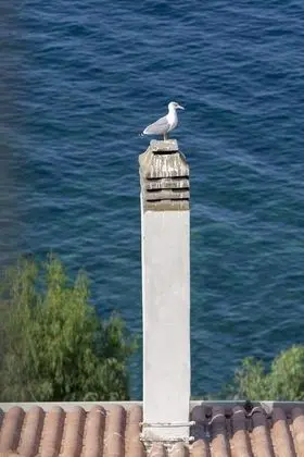Villa, Sigara İçilebilir