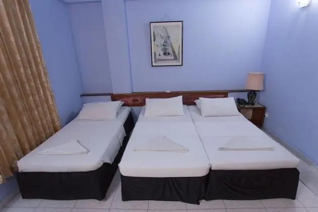 Deluxe İki Ayrı Yataklı Oda, 1 Yatak Odası, Şehir Manzaralı