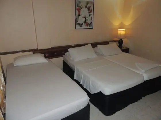 Deluxe İki Ayrı Yataklı Oda, 1 Yatak Odası, Şehir Manzaralı