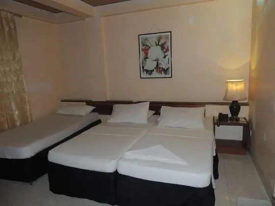 Deluxe İki Ayrı Yataklı Oda, 1 Yatak Odası, Şehir Manzaralı