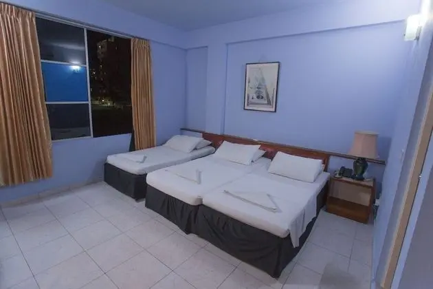 Deluxe İki Ayrı Yataklı Oda, 1 Yatak Odası, Şehir Manzaralı