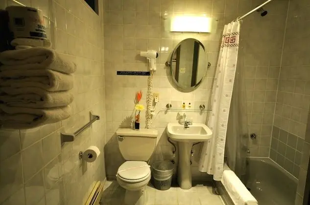 Deluxe Süit, Engellilere Uygun, Küvet